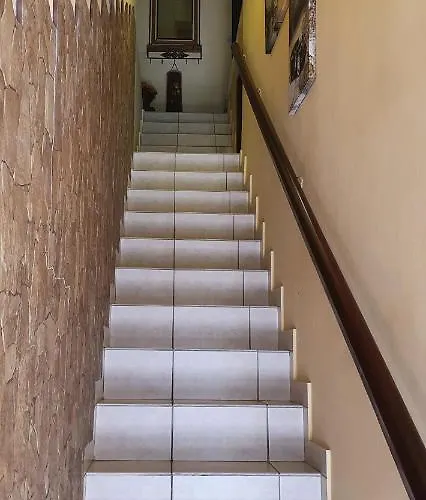 度假居 Delfino House