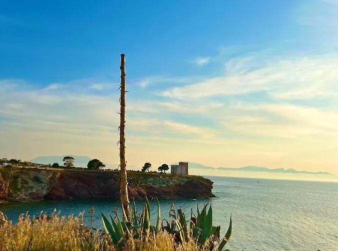 Delfino House * 泰拉西尼